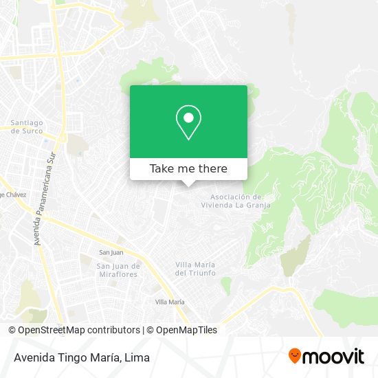 Avenida Tingo María map