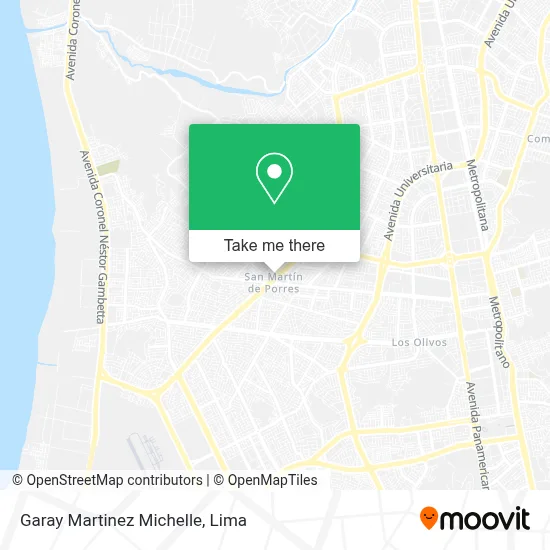 Garay Martinez Michelle map