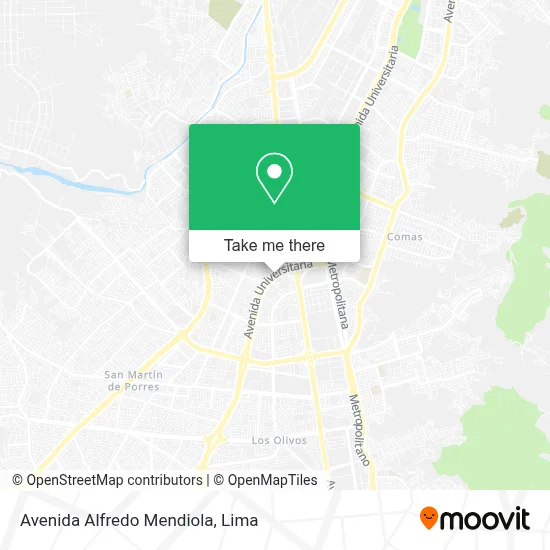 Avenida Alfredo Mendiola map