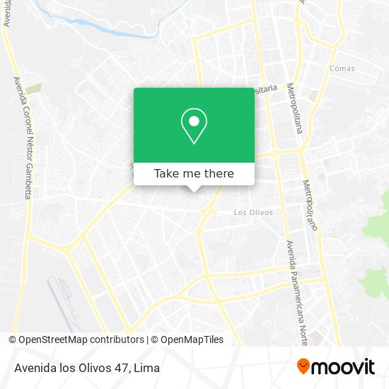Avenida los Olivos 47 map