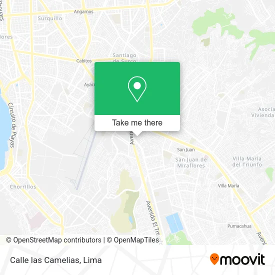 Calle las Camelias map