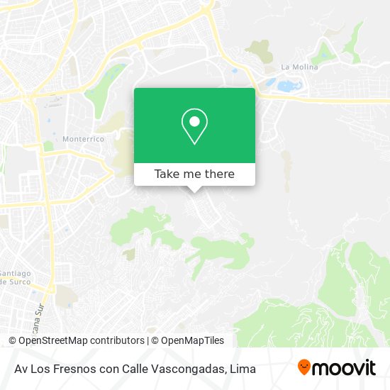 Av Los Fresnos con Calle Vascongadas map