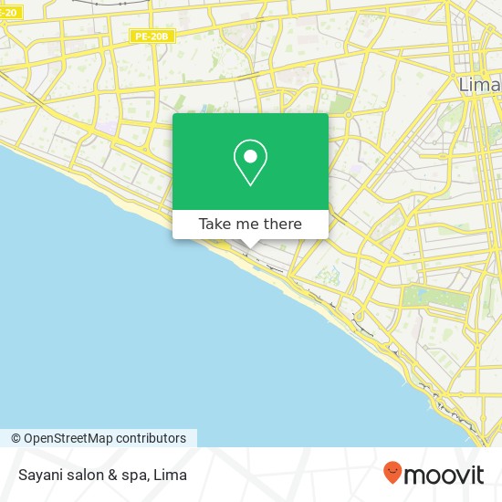 Sayani salon & spa map