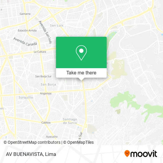 AV  BUENAVISTA map