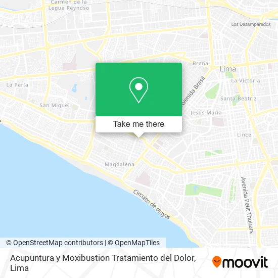 Mapa de Acupuntura y Moxibustion Tratamiento del Dolor