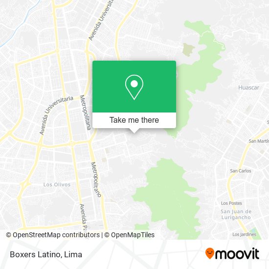 Boxers Latino map