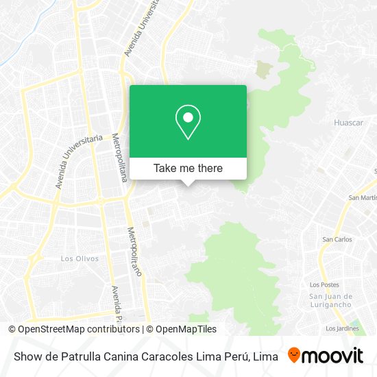 Mapa de Show de Patrulla Canina Caracoles Lima Perú