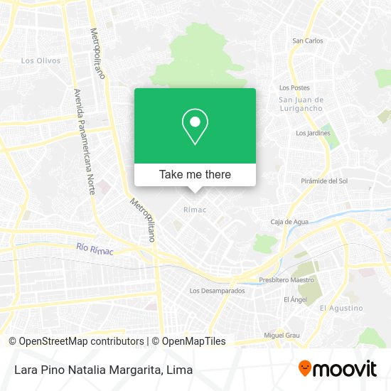 Mapa de Lara Pino Natalia Margarita
