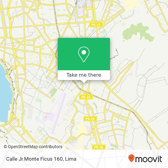 Calle Jr.Monte Ficus 160 map