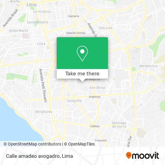 Calle amadeo avogadro map