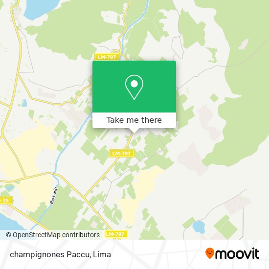 champignones Paccu map