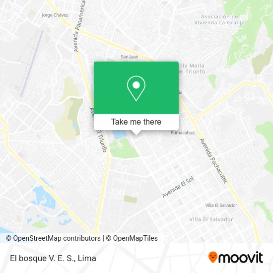 Mapa de El bosque V. E. S.
