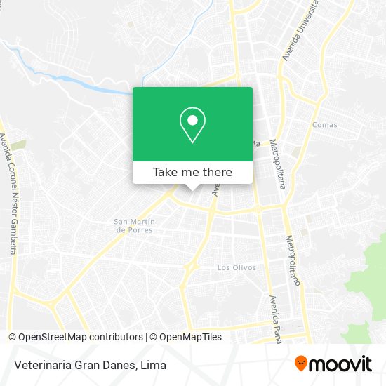 Mapa de Veterinaria Gran Danes