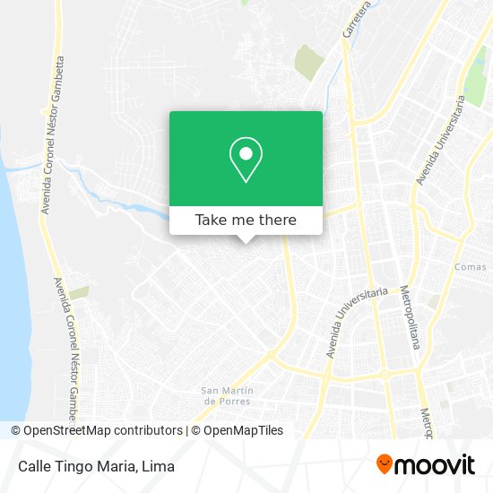 Calle Tingo Maria map