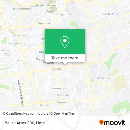 Bellas Artes 300 map