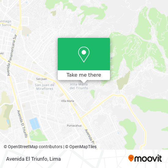 Avenida El Triunfo map