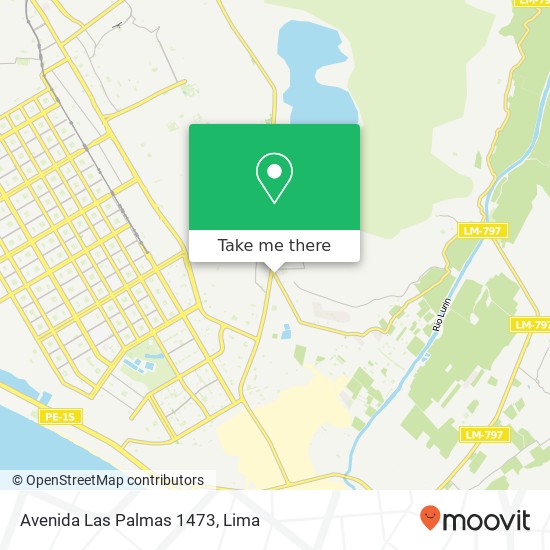 Avenida Las Palmas 1473 map