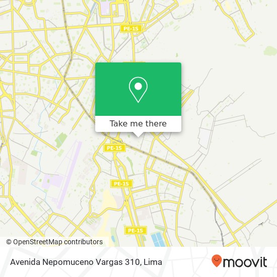 Mapa de Avenida Nepomuceno Vargas 310