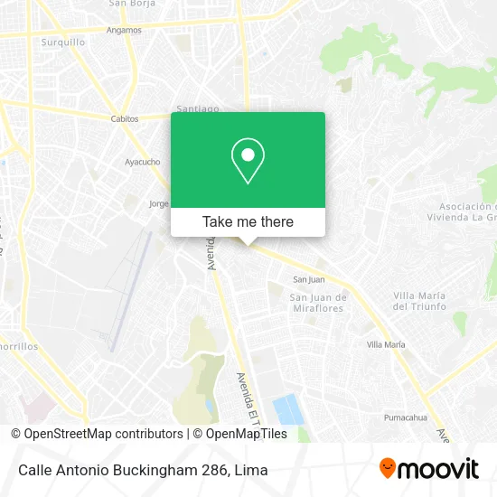 Calle Antonio Buckingham 286 map