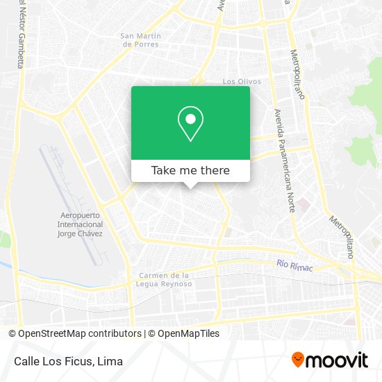 Mapa de Calle Los Ficus