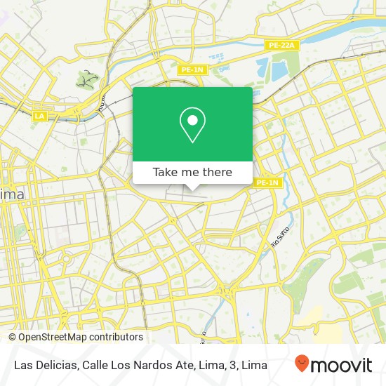 Las Delicias, Calle Los Nardos Ate, Lima, 3 map