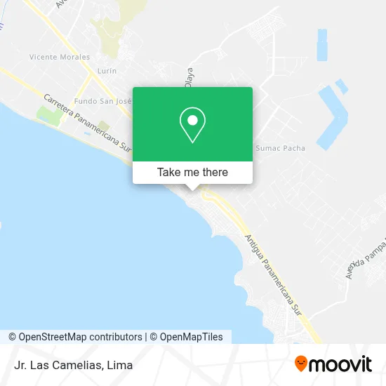 Jr. Las Camelias map