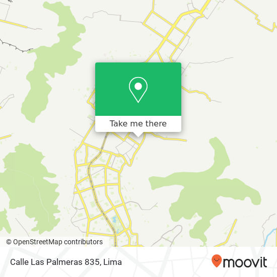 Calle Las Palmeras 835 map