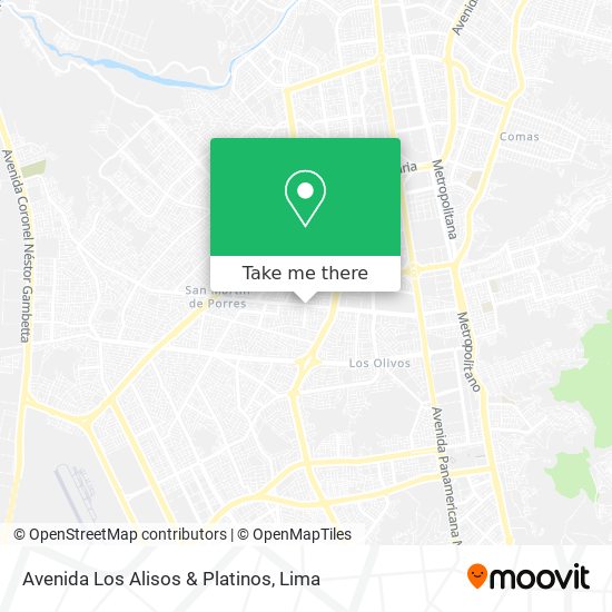 Avenida Los Alisos & Platinos map