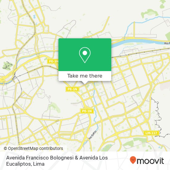 Mapa de Avenida Francisco Bolognesi & Avenida Los Eucaliptos