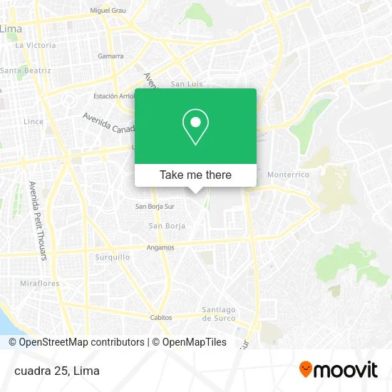 Mapa de cuadra 25