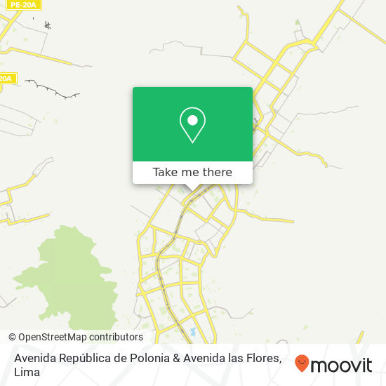 Avenida República de Polonia & Avenida las Flores map