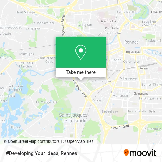 #Developing Your Ideas map