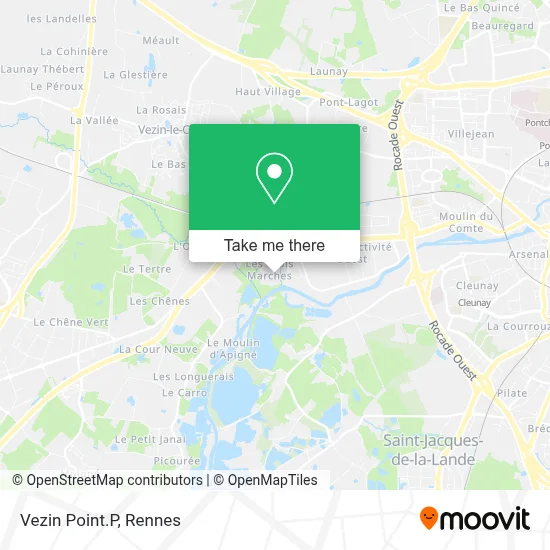 Vezin Point.P map