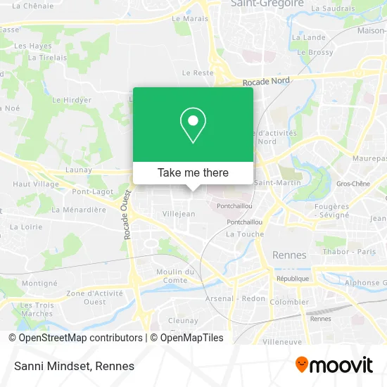 Sanni Mindset map