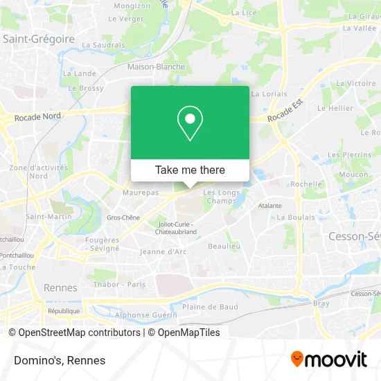 Domino's map