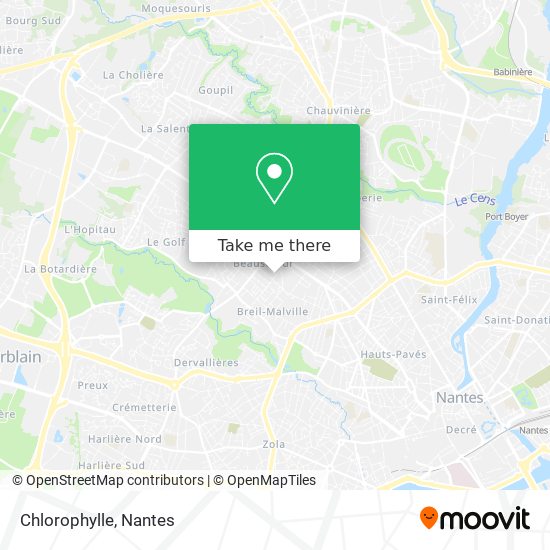 Chlorophylle map
