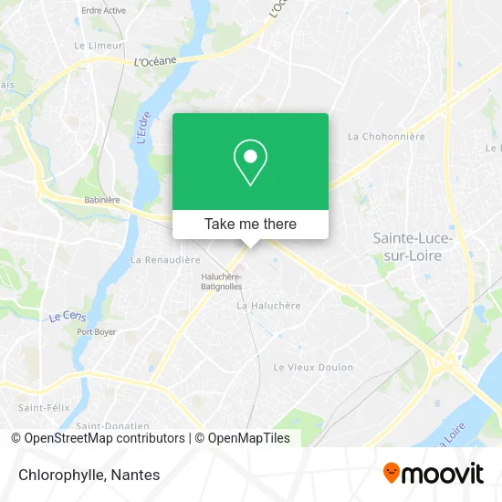 Chlorophylle map
