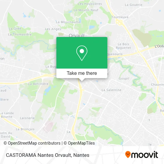 Mapa CASTORAMA Nantes Orvault
