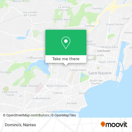 Domino's map