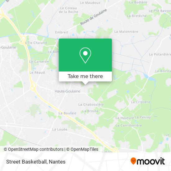 Street Basketball map