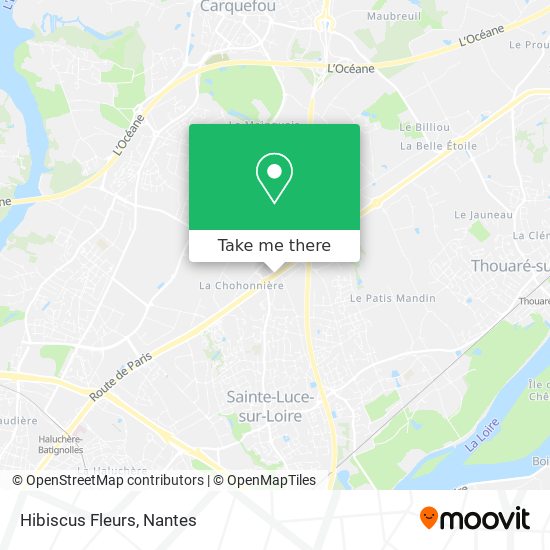 Hibiscus Fleurs map