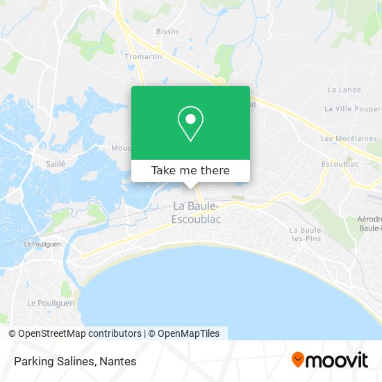Parking Salines map