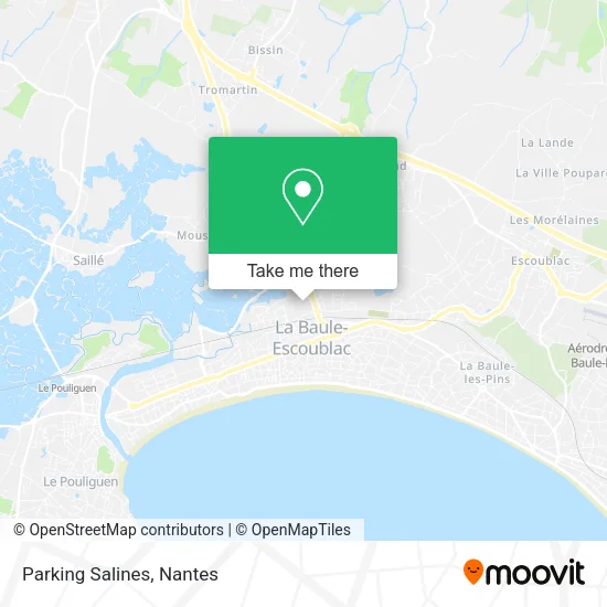 Parking Salines map