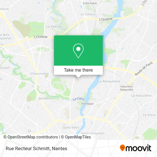 Rue Recteur Schmitt map