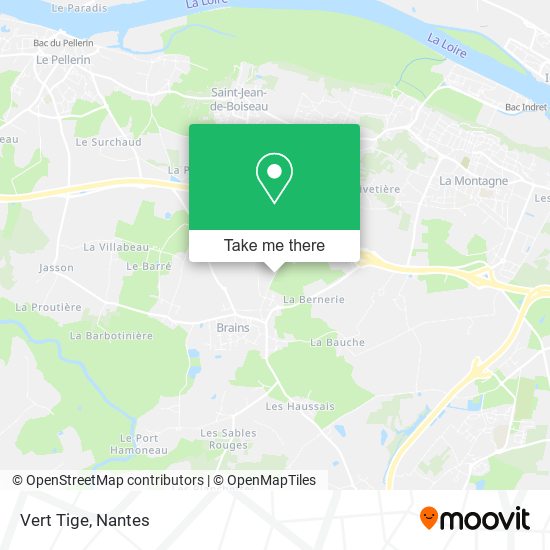 Vert Tige map