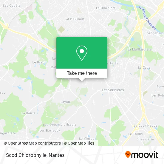 Sccd Chlorophylle map