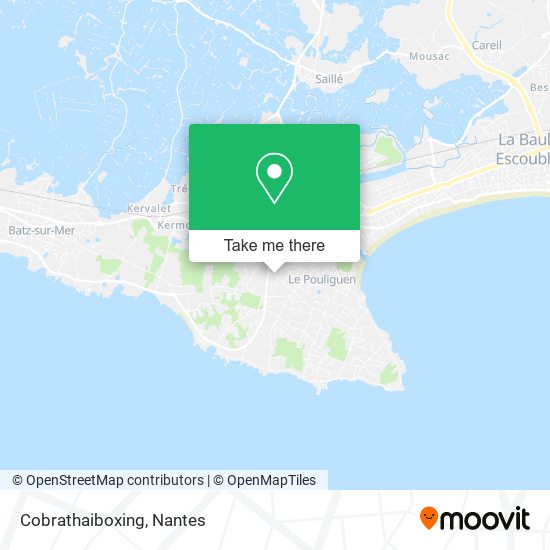 Cobrathaiboxing map