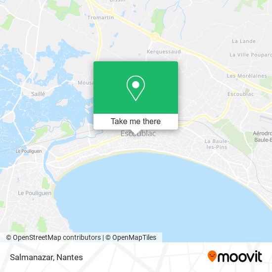 Salmanazar map