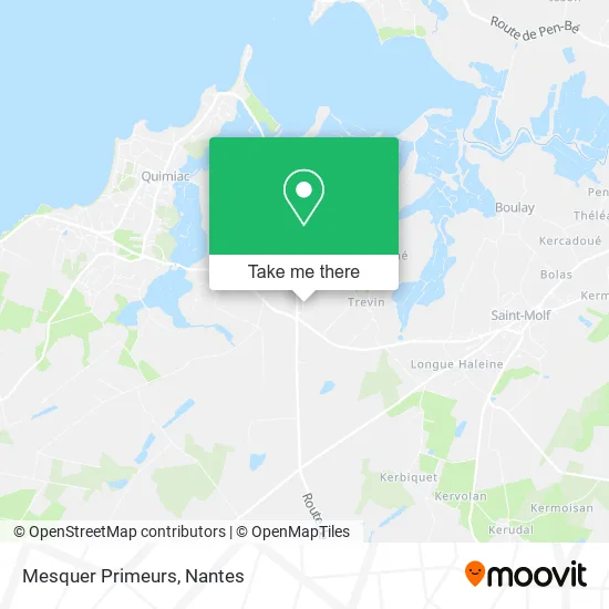Mesquer Primeurs map