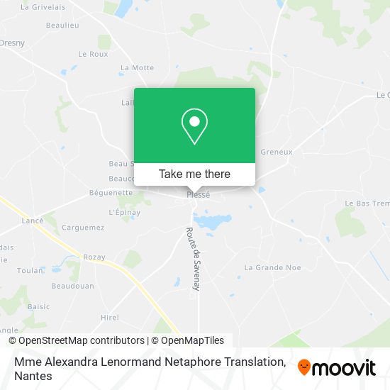 Mme Alexandra Lenormand Netaphore Translation map